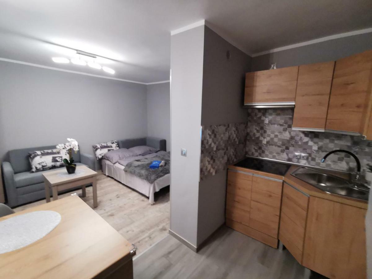 Świeradów-Zdrój Apartament Gorska 8 - Blisko Centrum מראה חיצוני תמונה